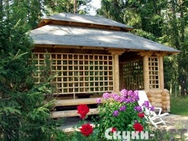 Neskuchny garden in the country: make a gazebo
