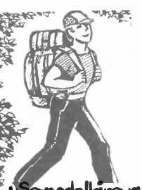 Composite backpack