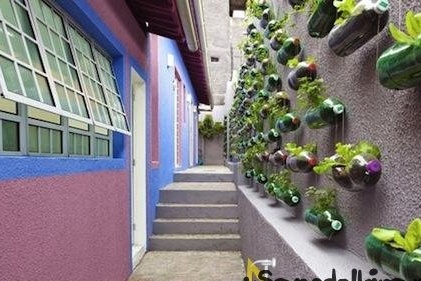 Vertikaler Garten in Plastikflaschen