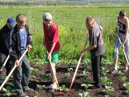 Munka a kertben nyáron