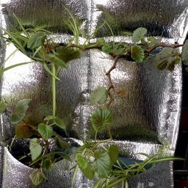 Μια όμορφη λύση για τη βελτίωση της ιστοσελίδας σας - ένα κρεβάτι με λουλούδια από υλικό από φύλλα αλουμινίου!