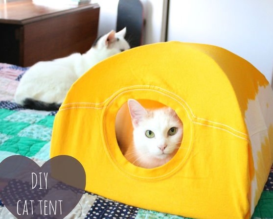 Gör-det-själv-tält för en katt från en T-shirt