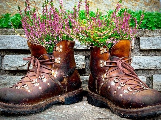 Blomsterpotte med gamle sko