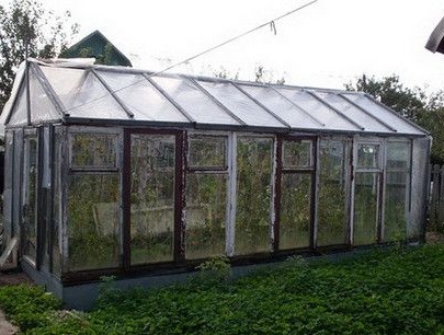 Ang pangalawang buhay ng mga lumang bintana - mga greenhouse