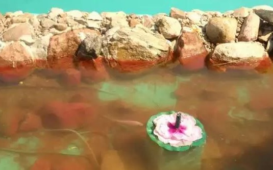 Декоративна система за филтриране на езерце
