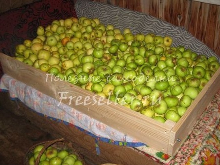 Media caja plegable para almacenar manzanas hágalo usted mismo