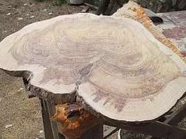 Angora pine coffee table