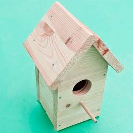 DIY putnu māja