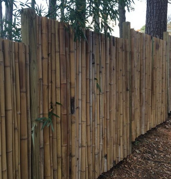 DIY bamboo fence