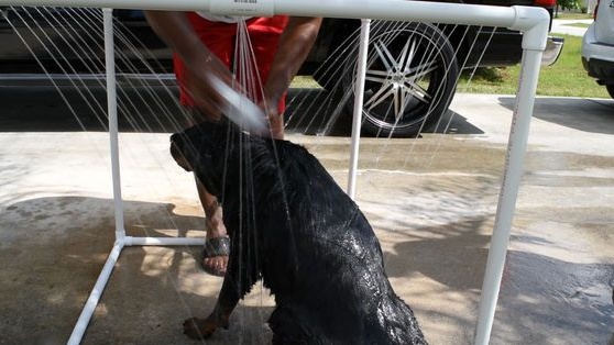 Dusche für einen Hund aus Polypropylenrohren