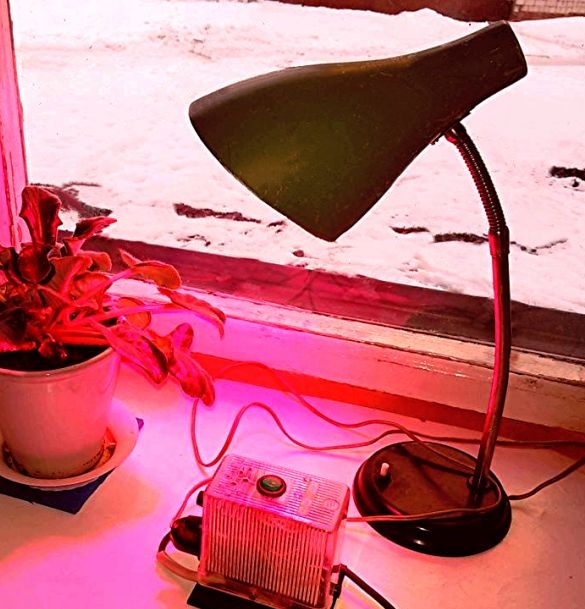 Luminária para plantas