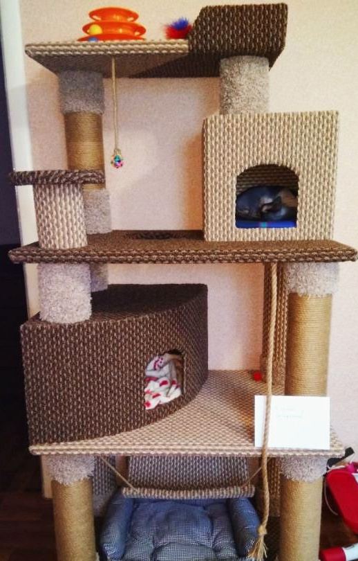 Fyra våningar spelkoto-komplex med två gör-det-själv-hus