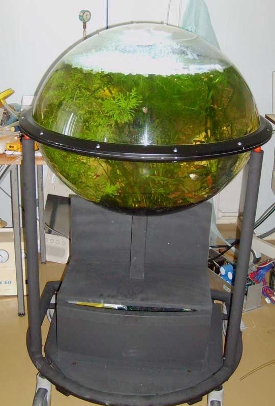 Изводен аквариум за депониране