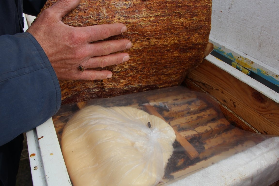 Hunajasta ja jauhesokerista valmistettu karkki Mehiläisten ruokinta talvella