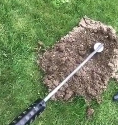 A simple method of dealing with moles, groundhogs
