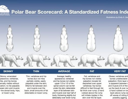 Ειδώλιο πολικής αρκούδας από αλουμίνιο